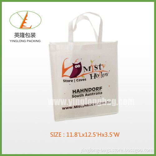 Versatility - Non Woven with Lamination Bags (YLNWB-0014)